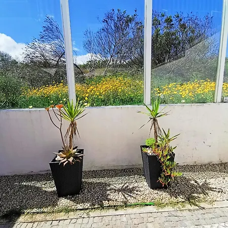 Cc - Casa Da Costa *