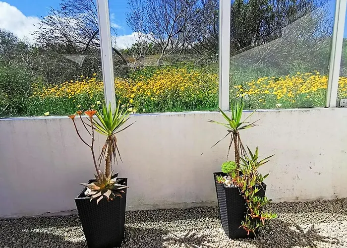 Cc - Casa Da Costa *